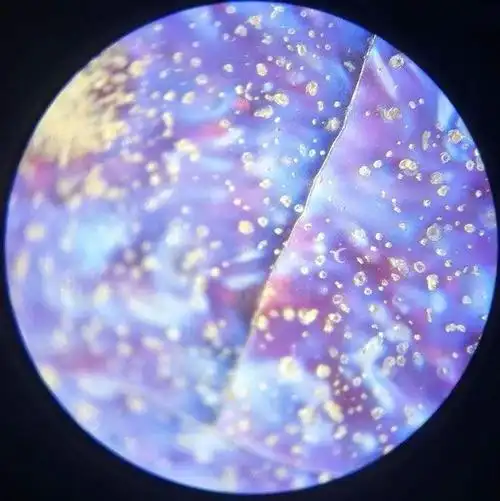 宋钧瓷红釉鉴定最详尽讲解!图文并茂