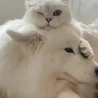 不认识你 不是我后悔 是我不能面对现在的结局_情侣头像_我要个性网