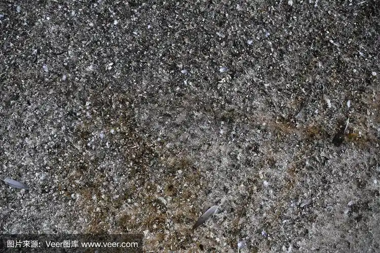 背景的蝙蝠粪便