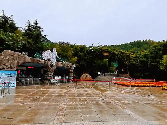 青岛东方熊牧场