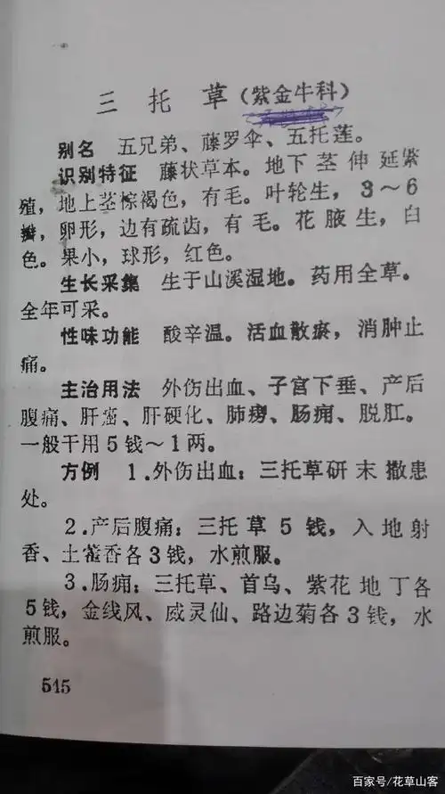 两者民间常互用,虽无大错,功效始