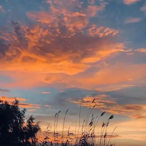 关于晚霞的表白文案(落日与晚霞的唯美文案)