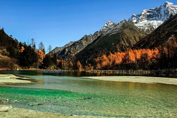 (中)川西的秋天,高山湖泊,雪峰,漫山黄遍,层林尽染,如同画卷一般缓缓