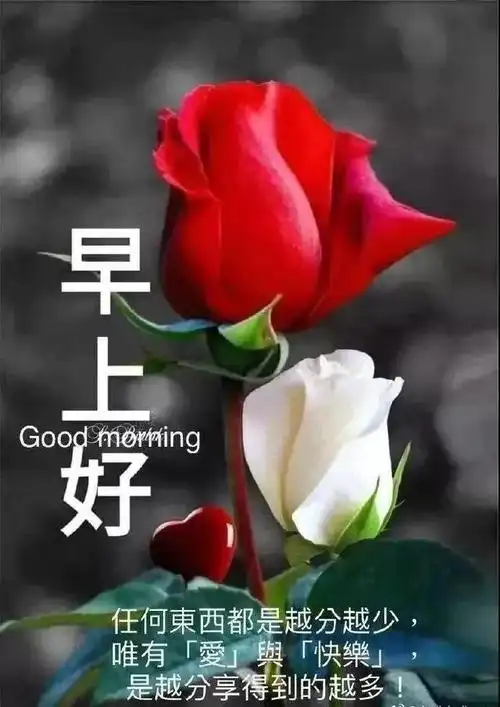 清晨群发早上好的祝福短信暖心早上好问候语超好看的图片