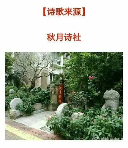 君记我一瞬 我恋君一生一一秋月元旦诗歌新作5首