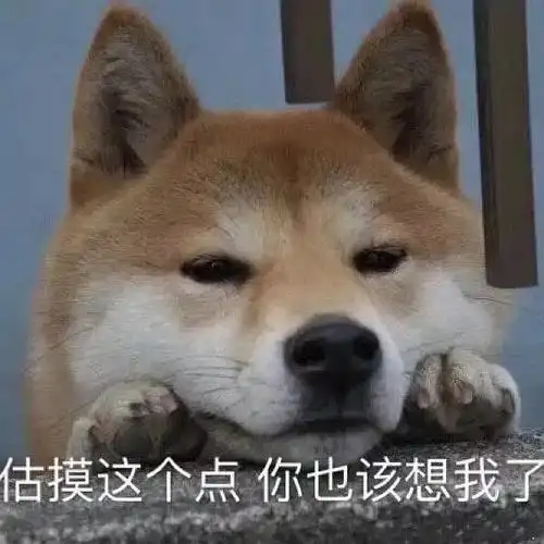 求和男友日常聊天的表情包