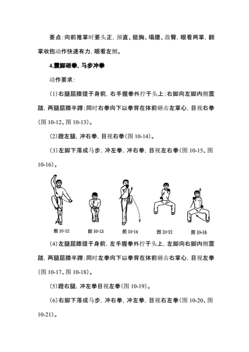 高一武术教材《形神拳》图示与动作方法.pdf 11页