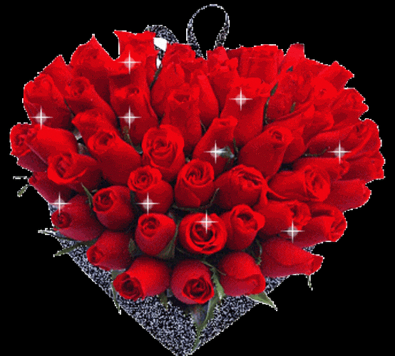 571_515gif 动态图 动图