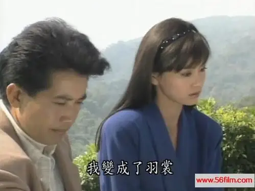 台剧1989海鸥飞处彩云飞现代爱情40集全国语繁字mkv每集约320m