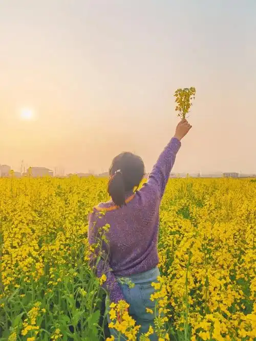 春天的妩媚风信年华花海田园,我们走近了前方,可有你折回的背影花丛里
