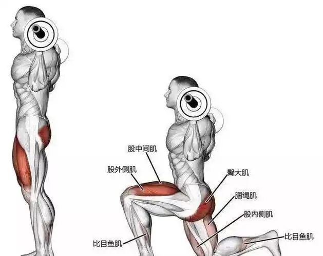 臀大肌训练指南