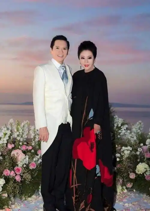 陈岚_向华强_向太