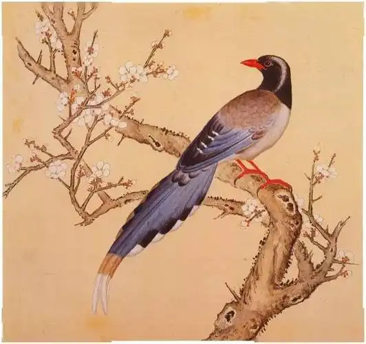 华丽精致美不胜收工笔重彩仿蒋廷锡鸟谱