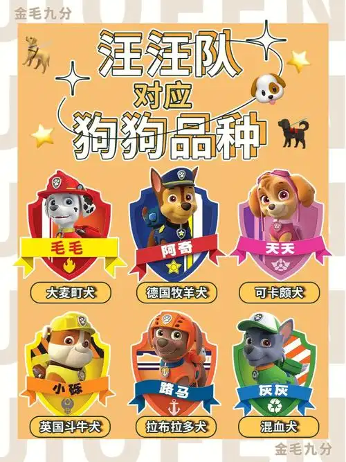 五一看娃不掉队丨汪汪队对应狗狗品种60