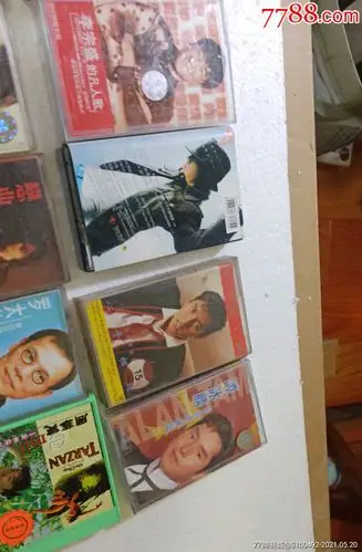 伍佰,罗大佑,谭咏麟,郭富城,王力宏等男歌星个人专辑磁带20盘