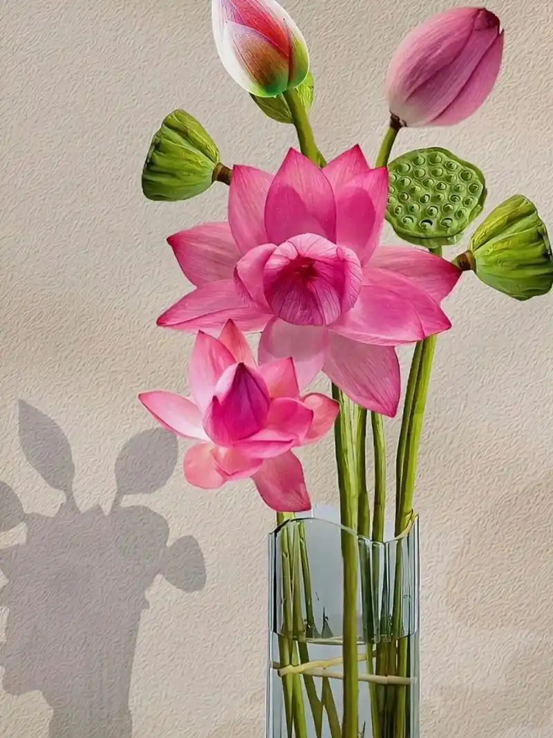 今天会收到特别大的好消息050505 #今日宇宙指