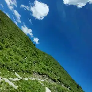 ()让一切随风头像