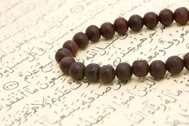 护卫珍稀之宝:掌握鉴别犀牛角手串的简单技巧!