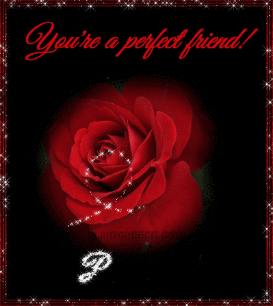 漂亮的玫瑰花闪图[转 温柔细雨 ]