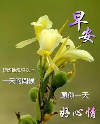 正月二十三寒冷清晨祝福语暖心句子送给你漂亮的早安问候祝福语图片
