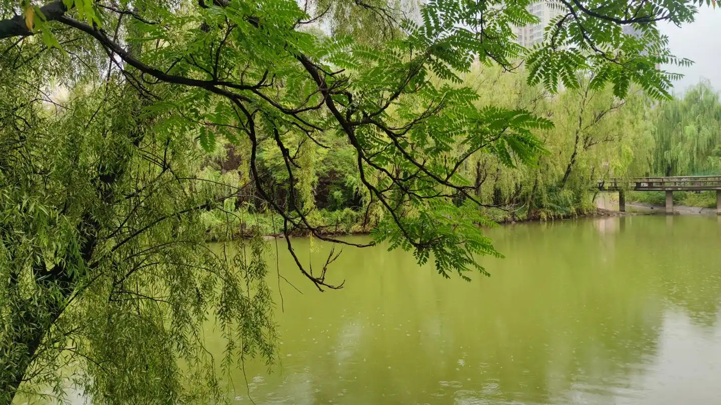 百家新收益# 兰州小西湖公园,南临兰州市七里河区西津东路北靠滨河