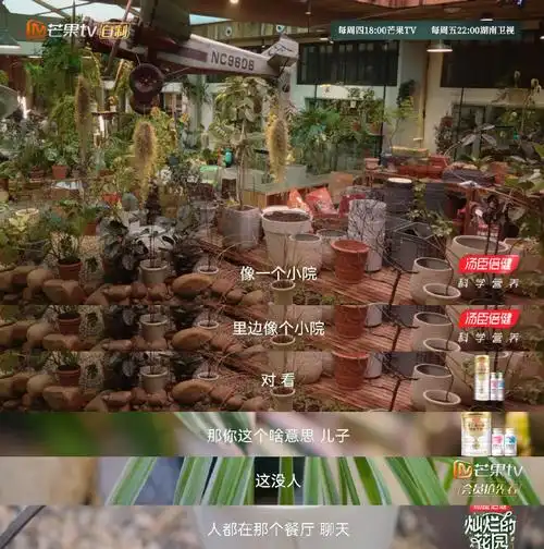 马嘉祺说灿烂的花园救了我##马嘉祺和爸爸打电话分享花园生活