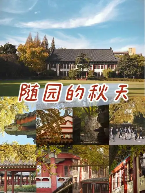 永远怀念南师大随园的秋天