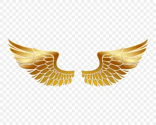 燃烧金色火焰翅膀大气凤凰翅膀羽毛png素材金色翅膀图案张开的翅膀