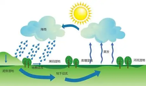 液态水,水蒸气,自然界中的水的总数不会因为使用而减少,水从地面蒸发
