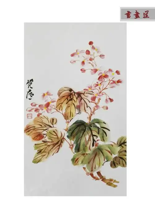 国画入门秋海棠的画法