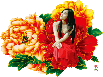 小蘑菇的空间【素材取自网络】