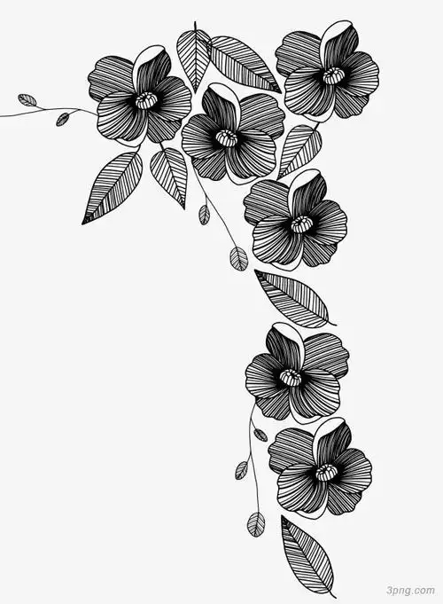 黑白线条花png素材透明免抠图片动植人物