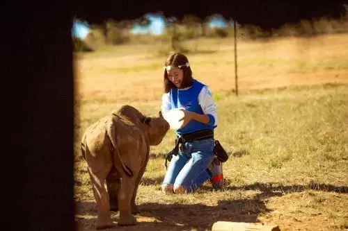 江一燕呼吁保护犀牛拒绝猎杀买卖 亲赴非洲大草原