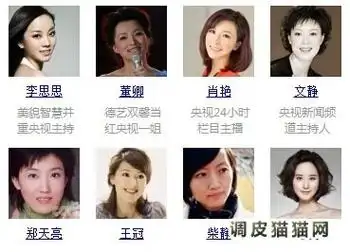 中央电视台主持人名单央视美女主播名单图
