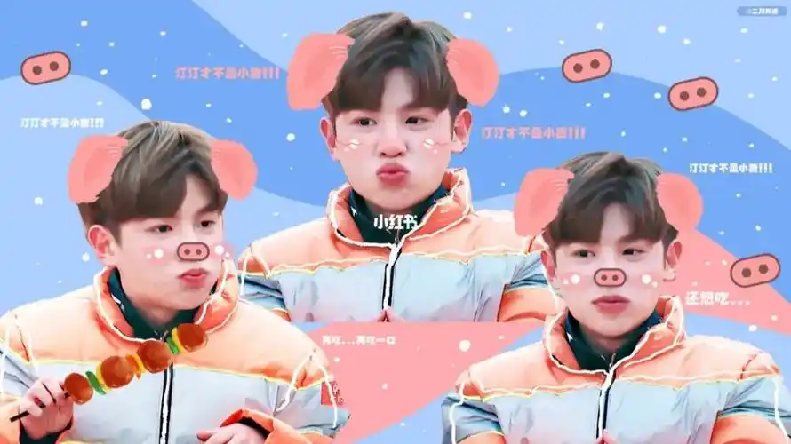 黄明昊吃土豆的小猪包q版