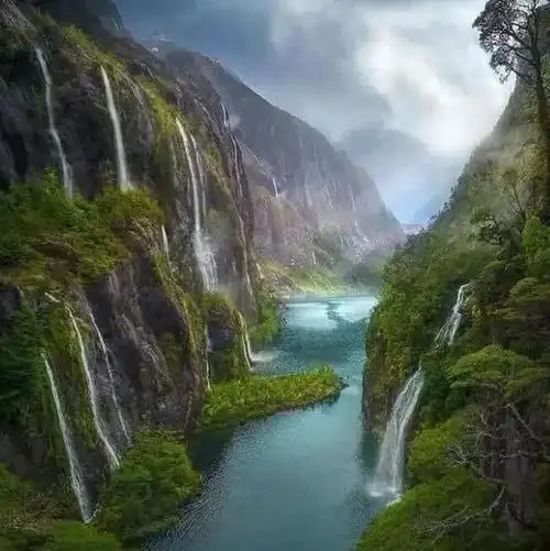 30张微信头像,有花有草有风景,太好看了