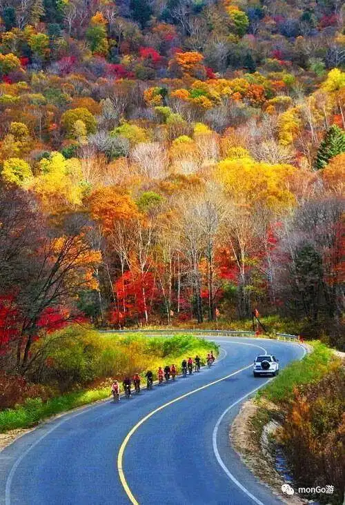 中国最美公路,老司机走过几条