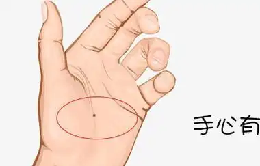 手上这3个部位长痣的女人,不但能嫁贵夫,婚后还能旺夫益子!