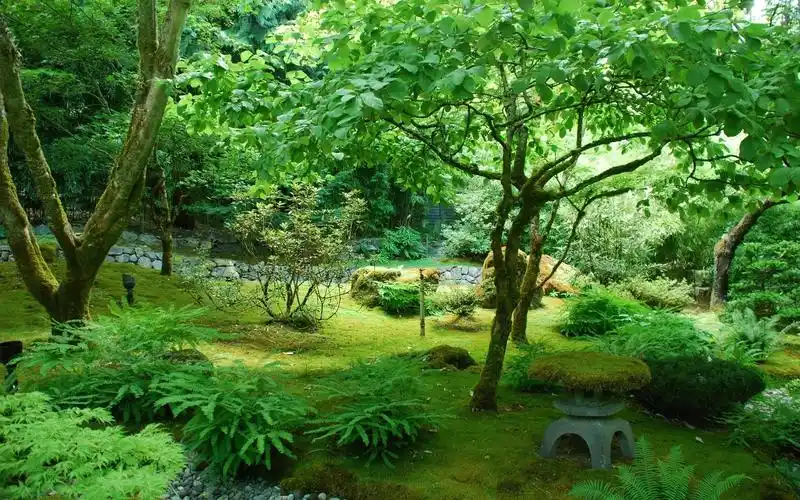 绿色壁纸1152x864分辨率下载,花园,加拿大,公园,树木,绿色壁纸,高清