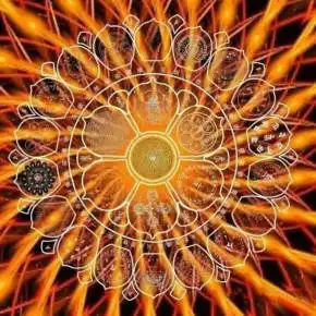 玮玮的财富能量朗读第一季