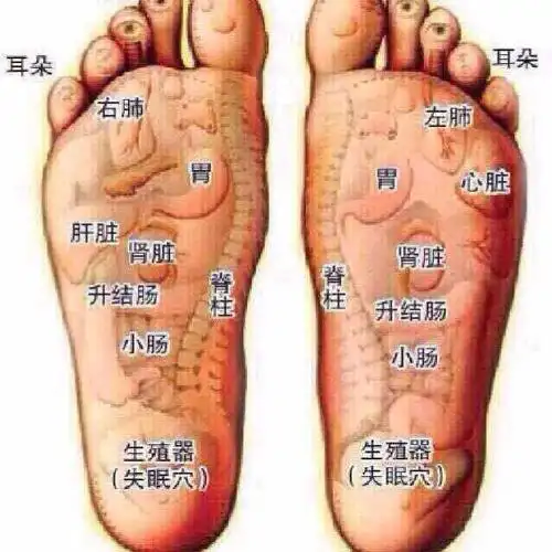 为什么说足贴要贴在脚心