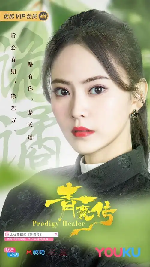 电视剧青囊传 发布正式收官海报!