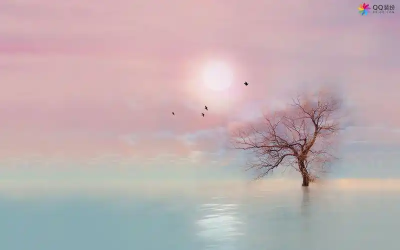 qq风尚桌面壁纸之唯美精选宽屏