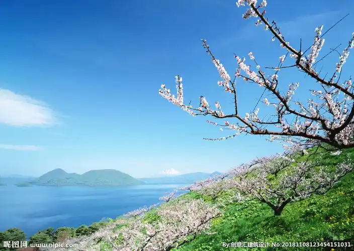 春天的山坡摄影图__山水风景_自然景观_摄影图库_昵图网nipic.com