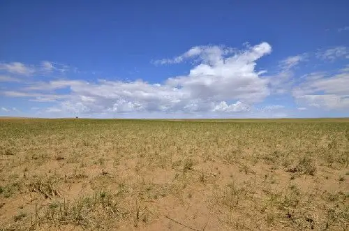 草原与沙漠-内蒙行(十二) 荒漠的戈壁滩