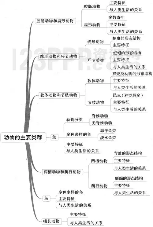 第5单元第1章动物的主要类群思维导图