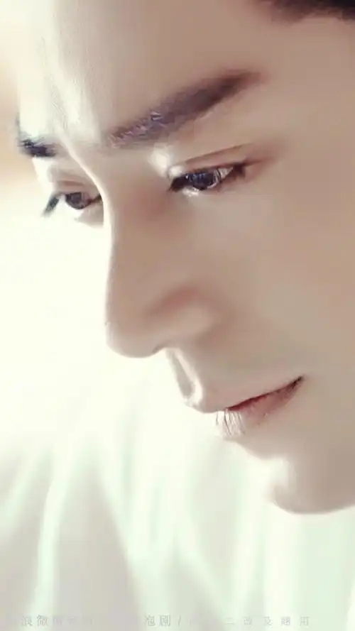 白子画孤傲高冷