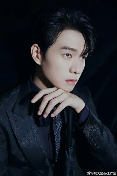 魏大勋年度青年男演员