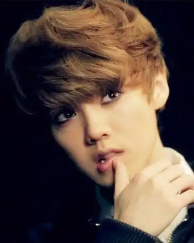 当被主持人问及他最喜欢少女时代中的那个女孩,鹿晗当时没有太多的