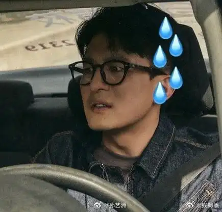 孙艺洲 演傻子怎么还有统治区